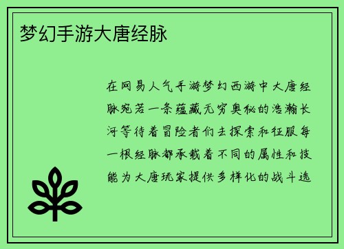 梦幻手游大唐经脉